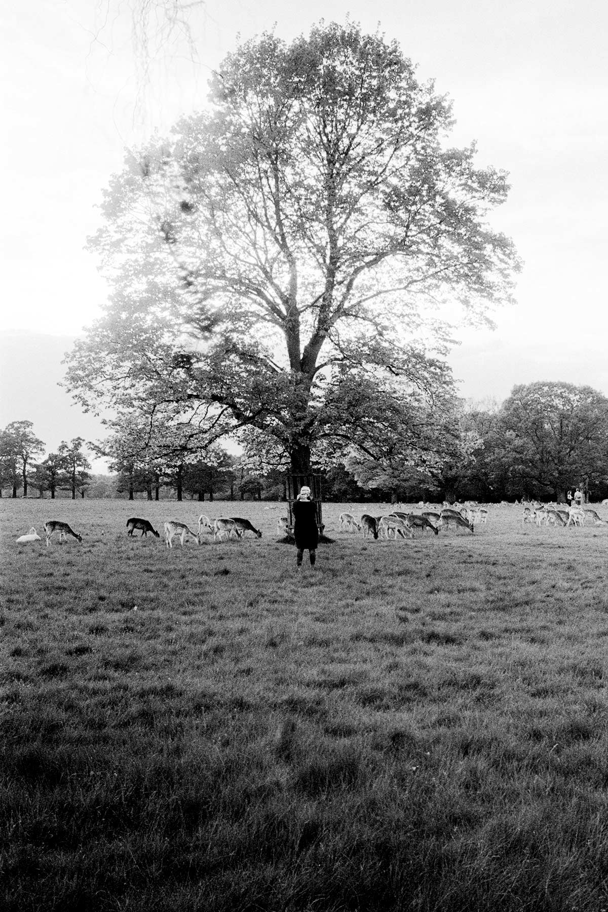 deer park