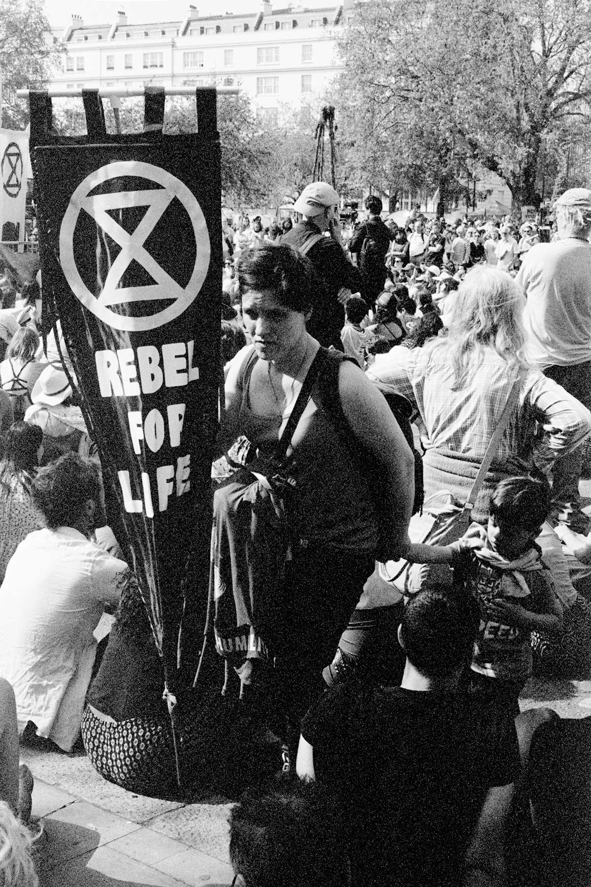 rebel